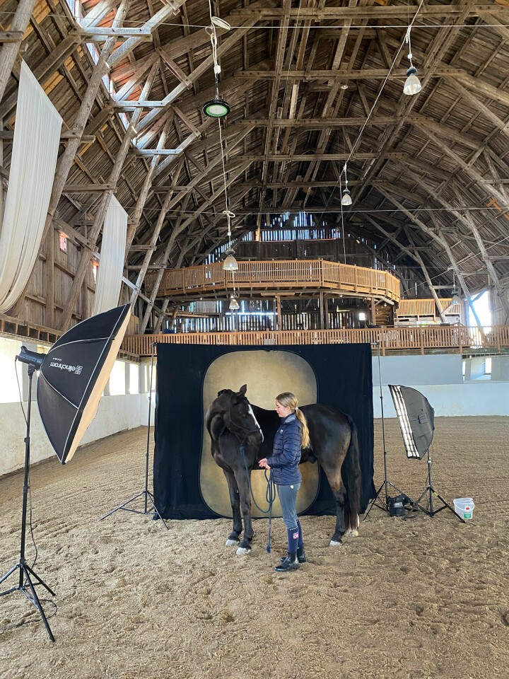 Anna har byggt upp en studio i ridhuset, med blixtar och en fond. Men det var inte enkelt att fotografera hästar på det här sättet, menar hon. Foto: Anna Jarlhäll