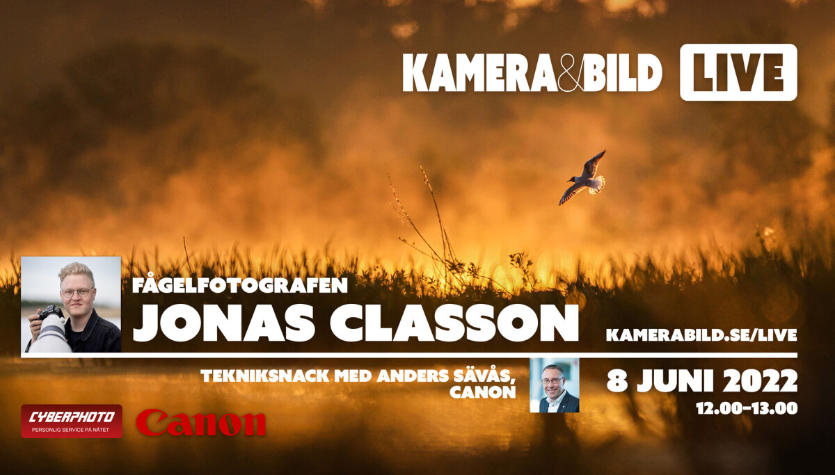 Johan Classon Föreläsning med fågelfotografen Jonas Classon