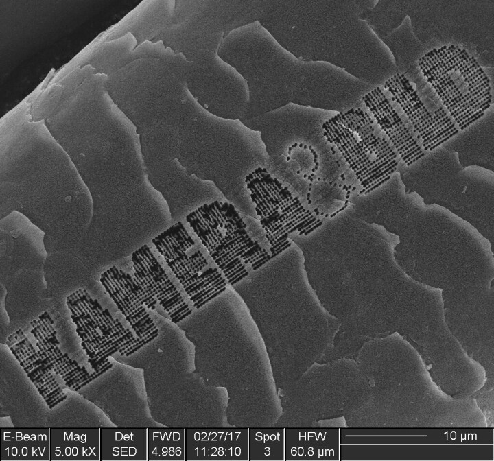 På bilden syns Kamera & Bilds logga, inetsad på ett hårstrå med hjälp av en fokuserad jonstråle (FIB, Focused Ion Beam) i ett svepelektronmikroskop (SEM). Bokstäverna är runt 10 mikrometer höga.