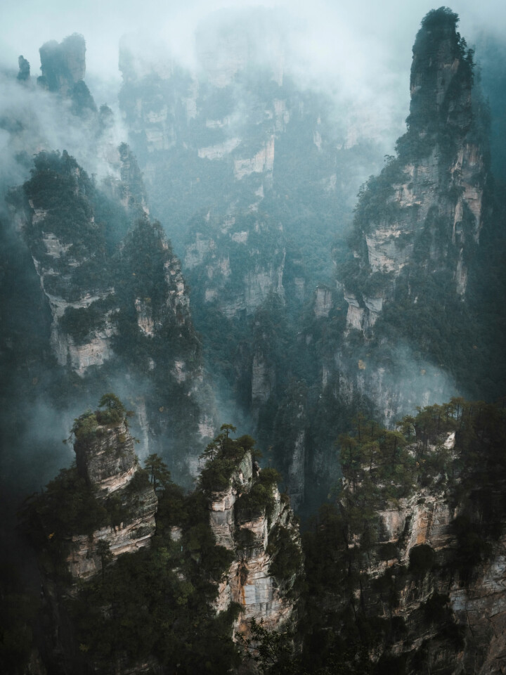 Medan dimslöjor sveper förbi mellan bergspelarna får Anna Bernström den här bilden. Miljöerna i »Zhangjiajie National Forest Park« har inspirerat regissören James Cameron när han gjorde filmen Avatar.