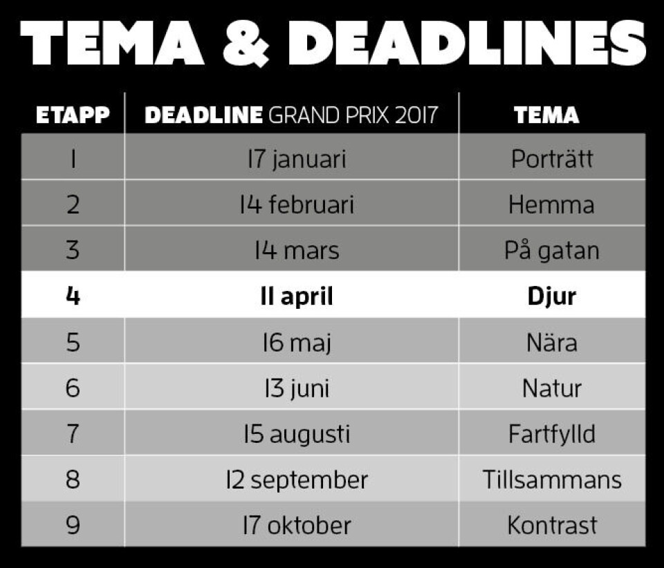 Var med och tävla i Grand Prix 2017 – etapp 4