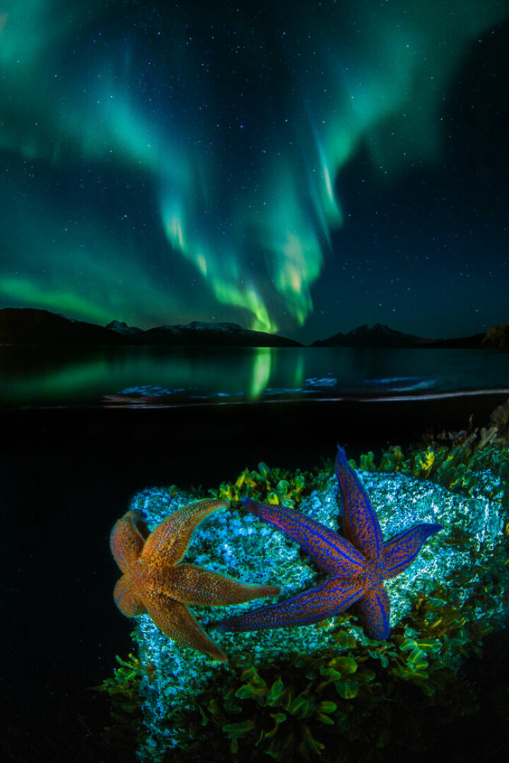 Sjöstjärnor och norrsken. Bilden är en dubbelexponering, fotad vid samma tidpunkt och på samma plats. Foto: Audun Rikardsen