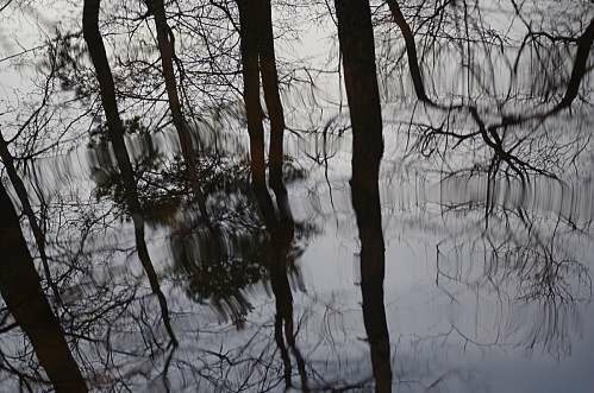 16megapixelsensorn fångar många detaljer om man använder skarpa objektiv. 1/80s, f/2,8, ISO 400