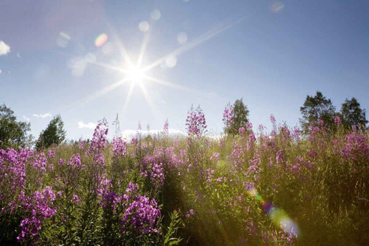 Tips: 100 fotoplatser i Sverige