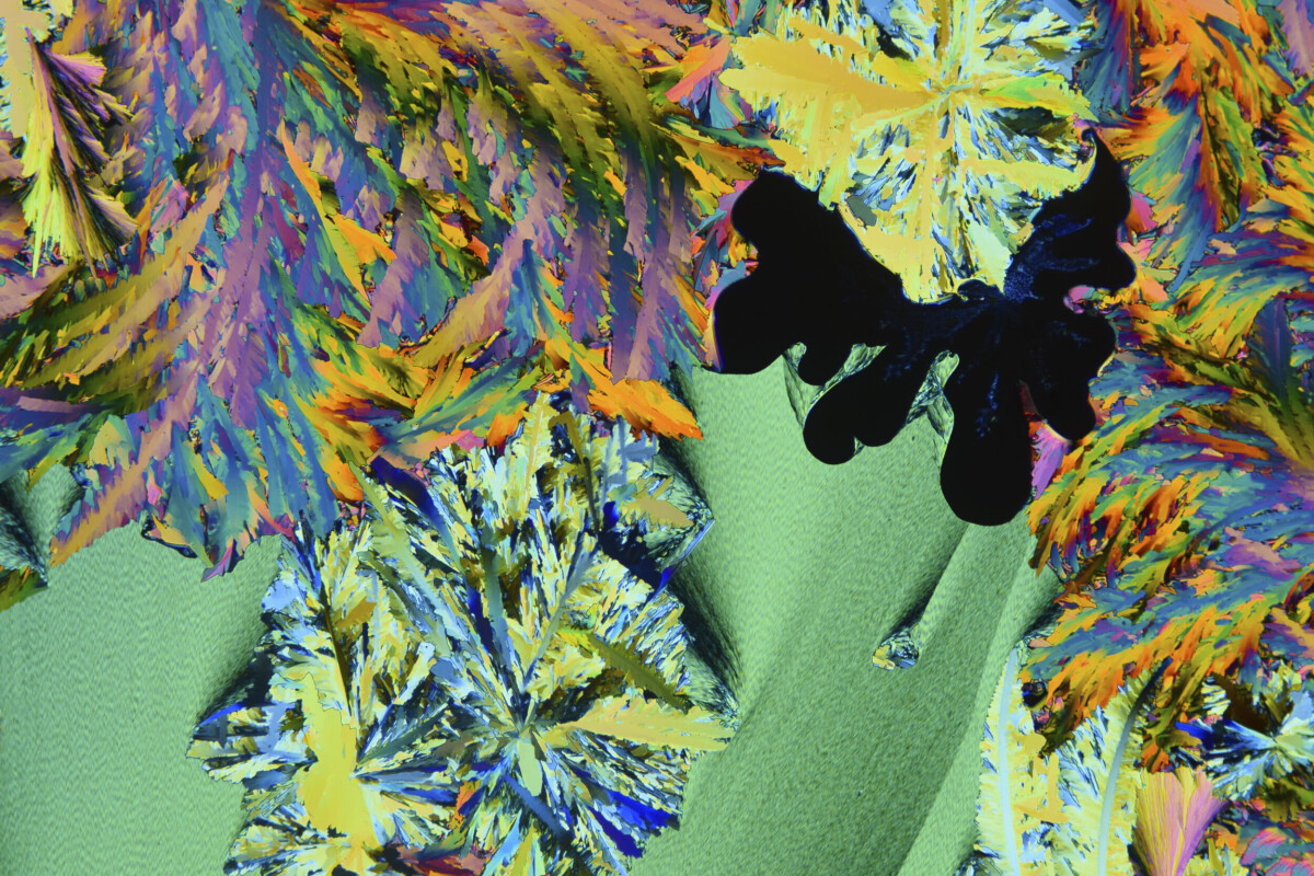 Crystal Landscapes – fotokonst från ljusmikroskop ställs ut