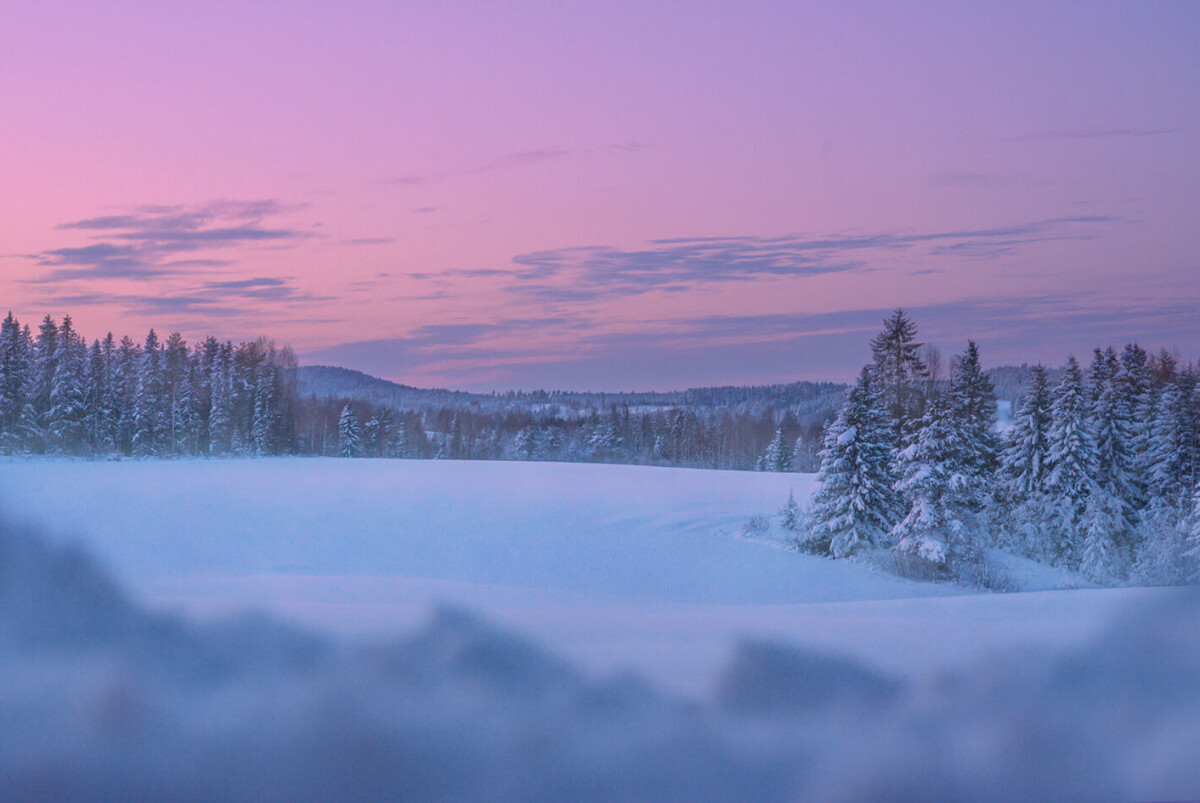 LisaLove: 'Åkte ut på tur i friska minus 28 grader för att fota bilder till tävlingens delmoment och jag valde att åka ut mellan kl.14-16 då det är 'golden hour' denna tid på året. Jag fastnade för den här bilden då jag tycker om de många lager som landskapet har och denna vy får mig att känna ödmjukhet inför naturen.'