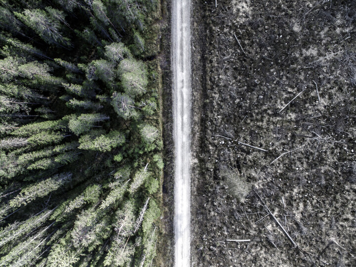 Bilden Niklas Virsen vinner med är fotograferad i Finland, där det på ena sidan är ett kalhygge och på den andra sidan en skog.
