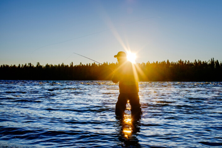 Klockan 03.05 står solen lågt över älven. I vadarbyxor och med en Canon 70D på stativ i vattnet försöker Peter Rosén fånga lite fiskebilder.