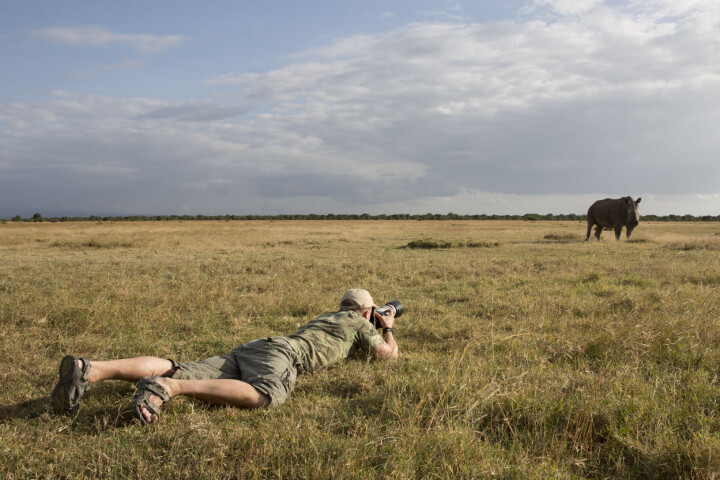 Björn Persson fotograferar en noshörning.