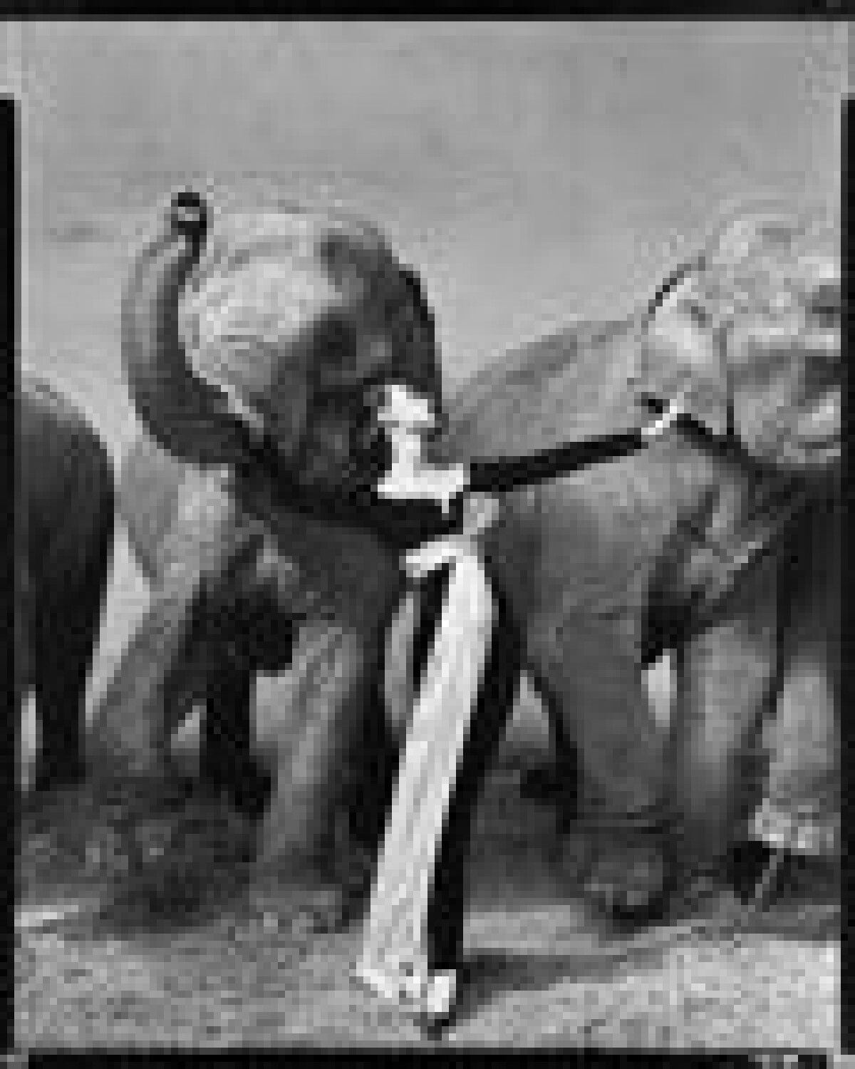 Richard Avedon Fotografi 1946-2004