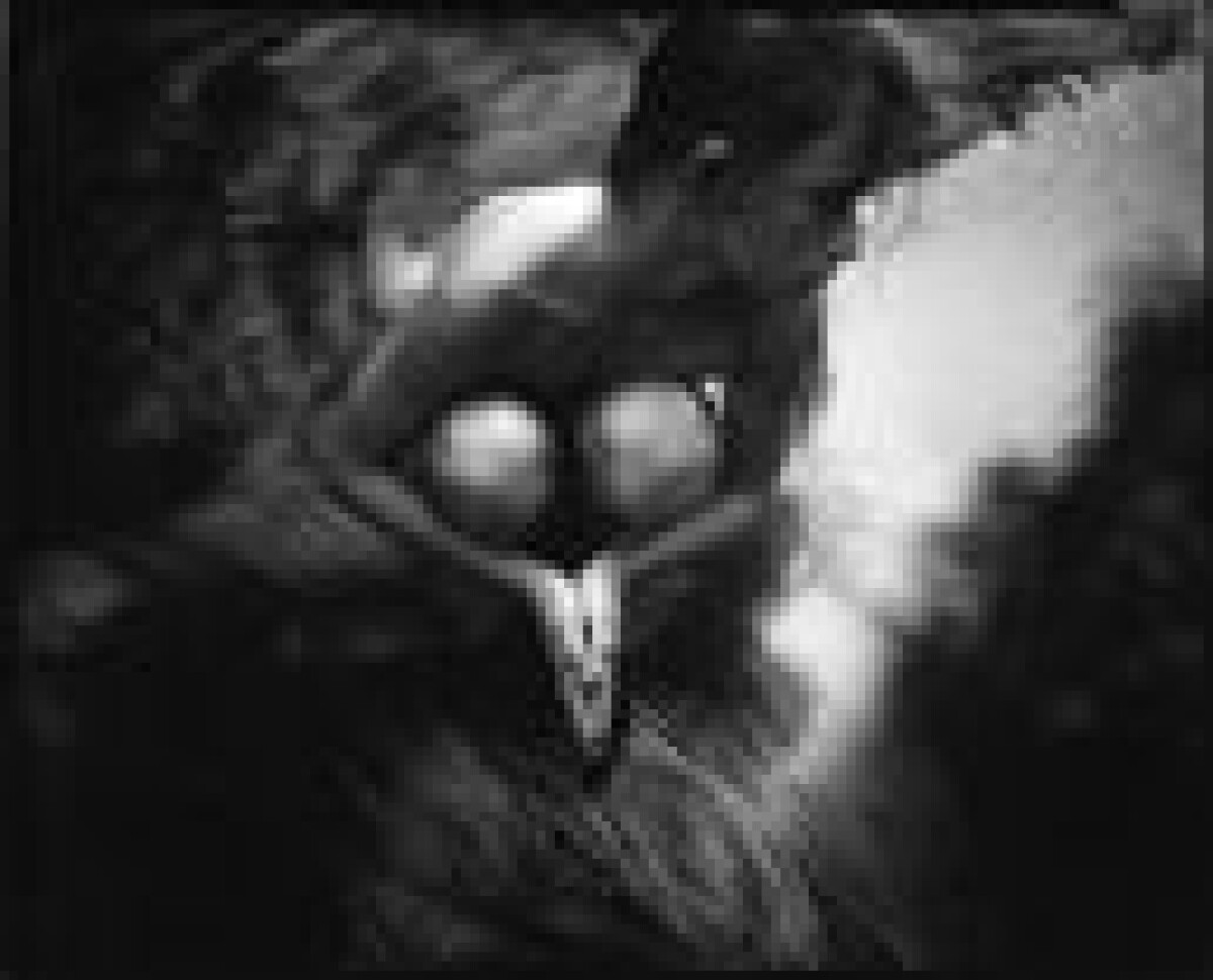 Sally Mann lockar rekordpublik