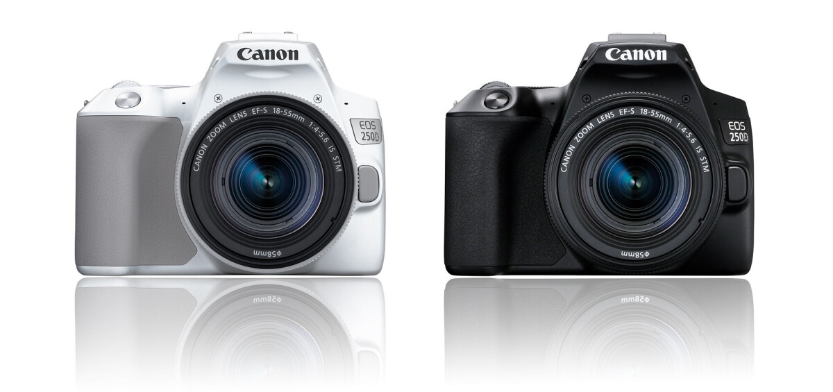 Canon EOS 250D – superkompakt instegskamera