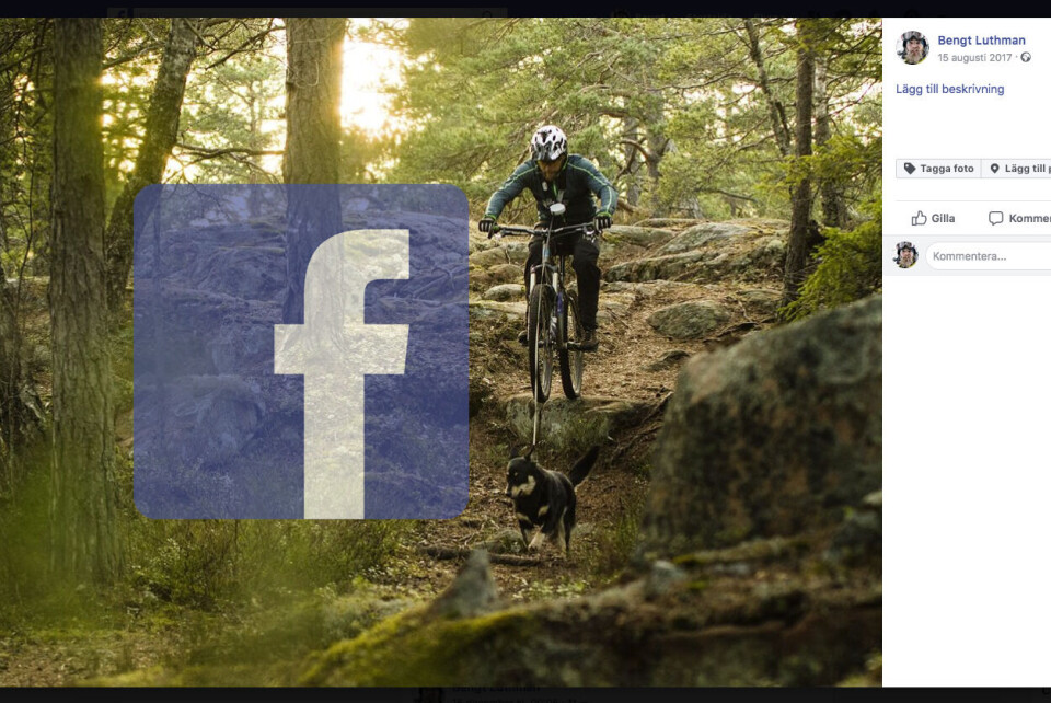 Facebook-bugg gjorde opublicerade bilder tillgängliga