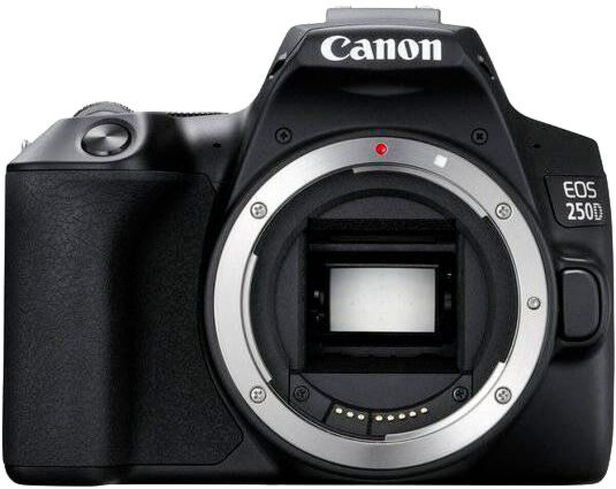 Test: Canon EOS 250D – ett superkompakt insteg