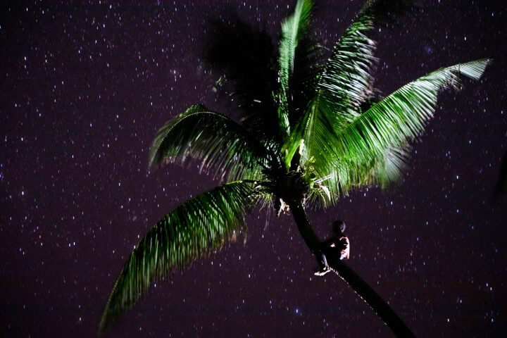 Årets Porträttserie: 1:a pris: Niclas Hammarström, frilans/Expressen. Han Island, Papua Nya Guinea. Ratu sitter som vanligt i kokospalmen och tittar på stjärnorna. Flera av Ratus kamrater har kallats för världens första klimatflyktingar. Han bor på en skör atoll i Stilla havet, utanför kusten i Papua Nya Guinea. Träden på ön är livsviktiga för invånarna. De bromsar erosionen av ön, ger föda och är ofta en lekplats för alla barnen på ön.