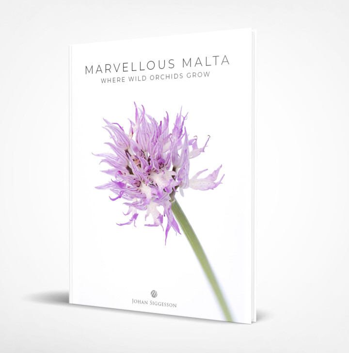 Omslaget till Johan Siggessons nya fotobok ”Marvellous Malta – Where Wild Orchids Grow”.