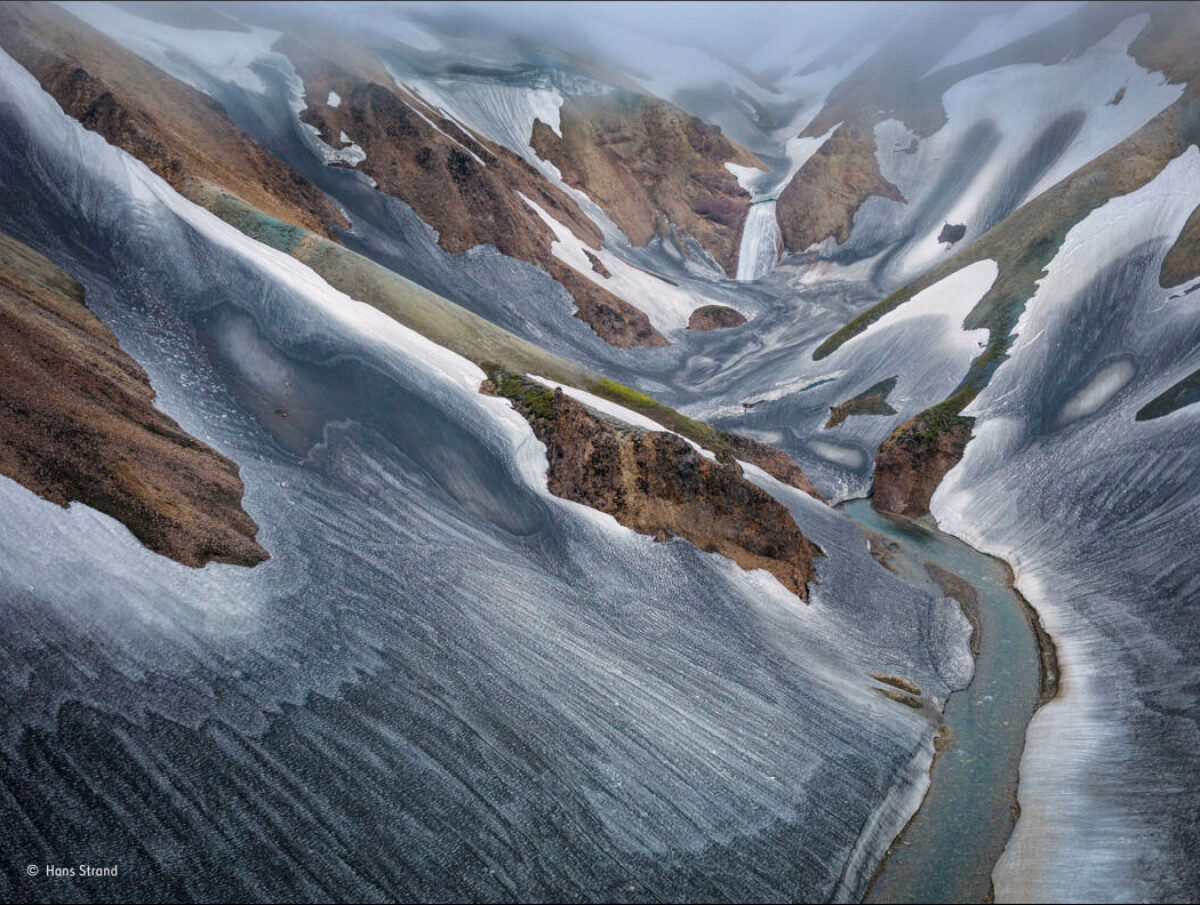 Hans Strand vinnare i Wildlife photographer of the year