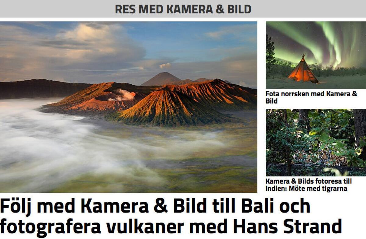 Hans Strand vinnare i Wildlife photographer of the year