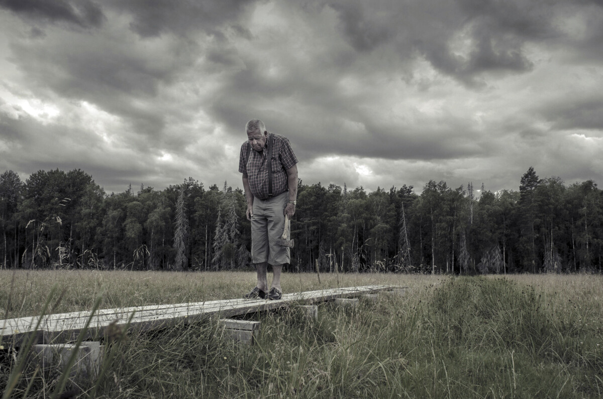 Vinnaren i Årets Bild – Grand Prix 2013