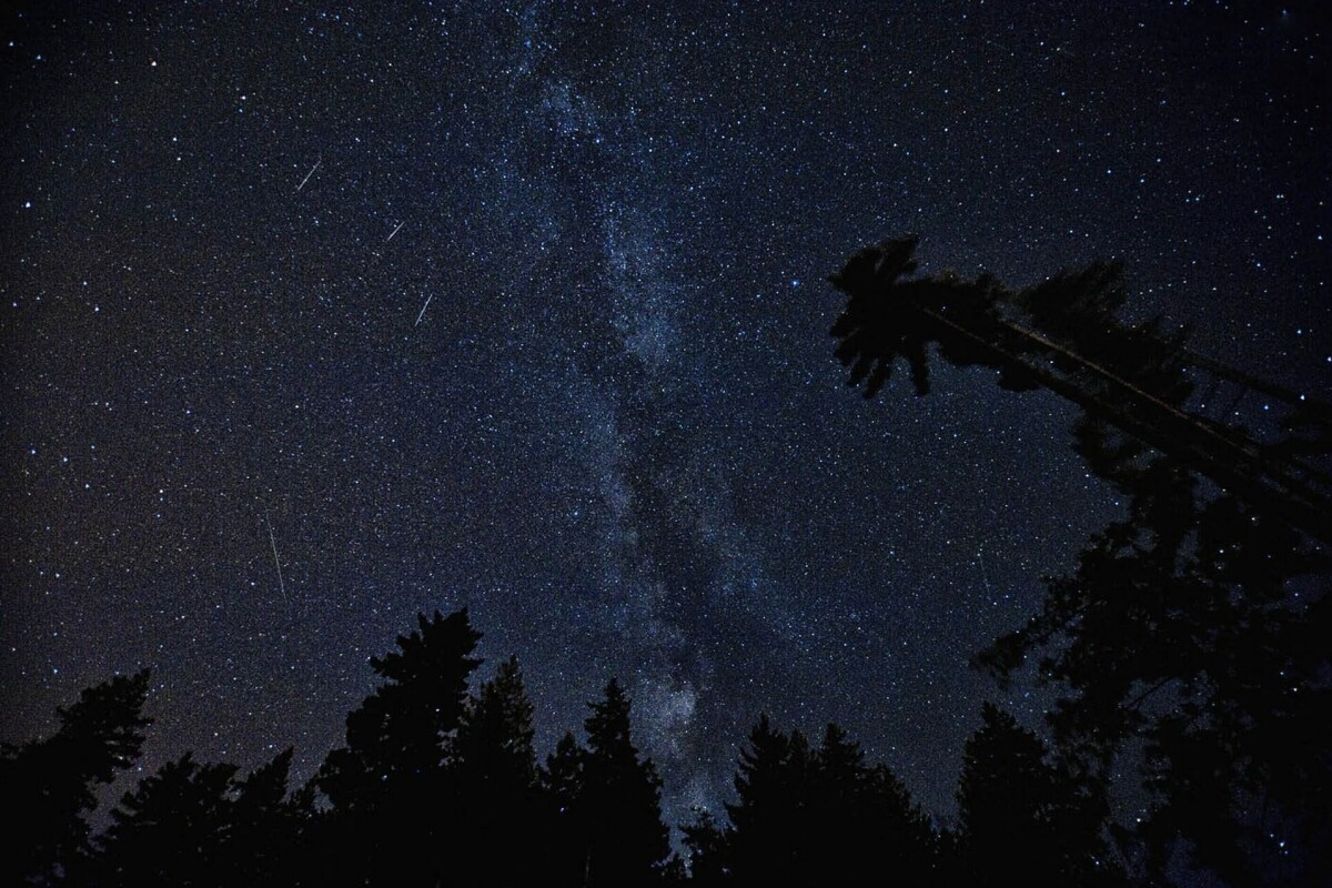 Don't miss the Perseid meteor shower on August 12, 2024 Don't miss the Perseid meteor shower on August 12, 2024