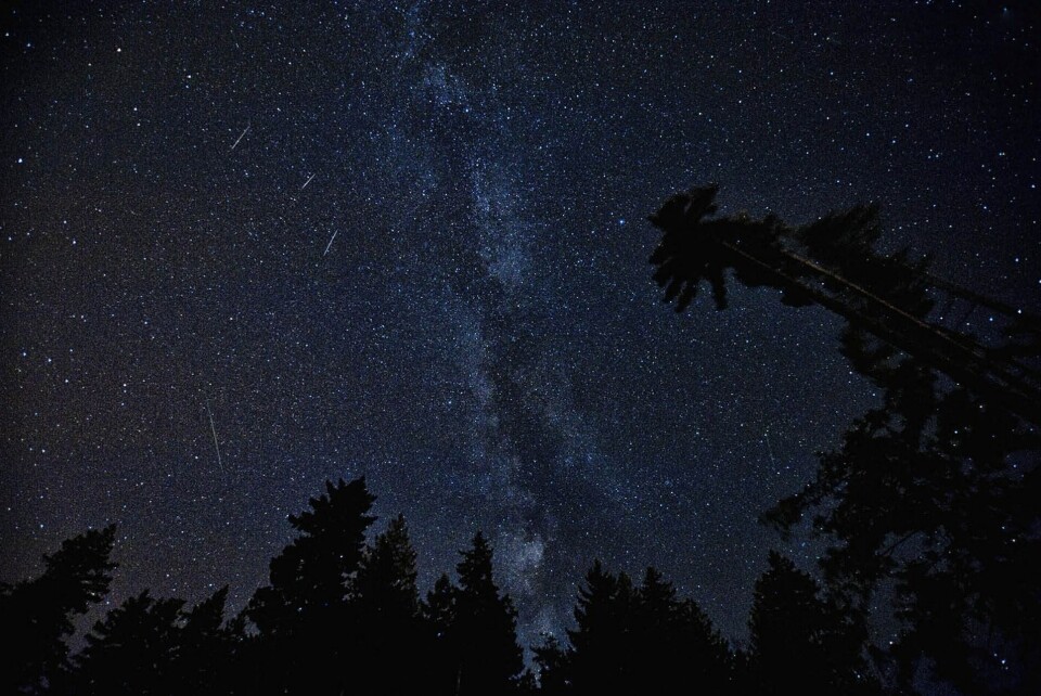 Fototips: Missa inte Geminidernas meteorregn torsdag kväll