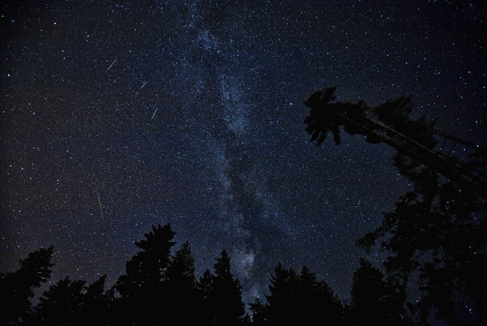 Fototips: Missa inte Perseidernas meteorregn 12 augusti 2024