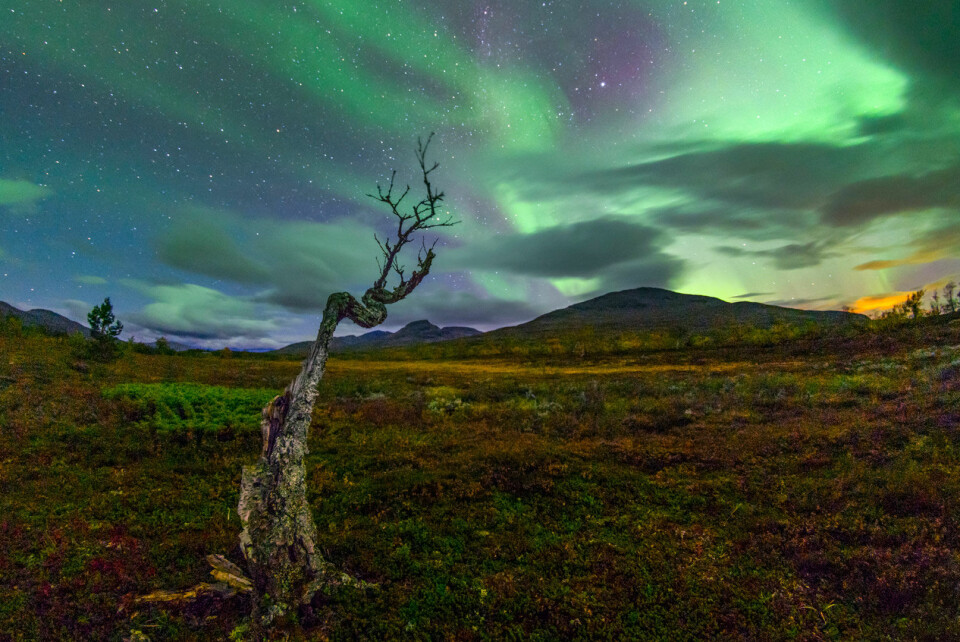 Astrofotografering – tre enkla tips för nybörjaren