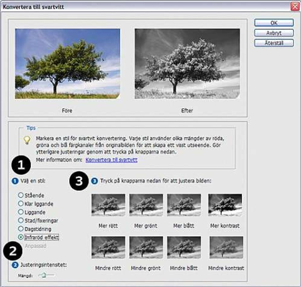 Svartvitt är enkelt i det digitala mörkrummet