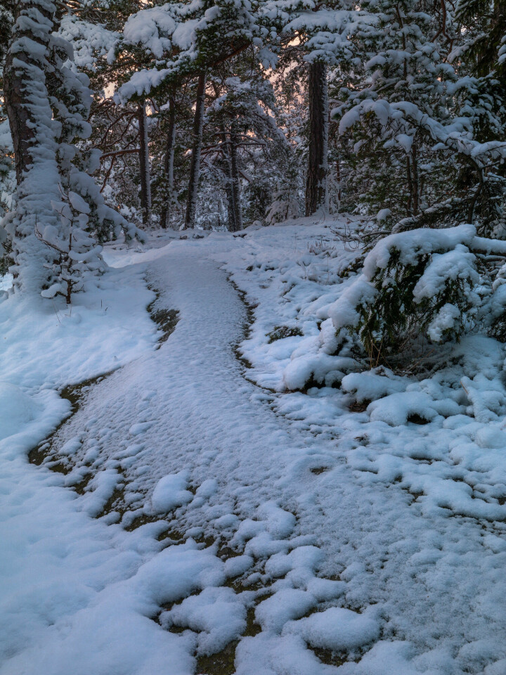 Snöiga motiv på Oxnö. Foto: Serkan Günes
