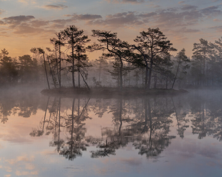 Svensk Mästare i Natur – Landskap: Peter Kåveland med bilden ”Sunrise on an early spring morning”. Foto: Peter Kåveland
