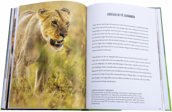 Med fokus på möten med djur, fåglar och landskap världen över har Niklas Virsén kommit ut med boken ”Öga mot öga – möten för biologisk mångfald”.