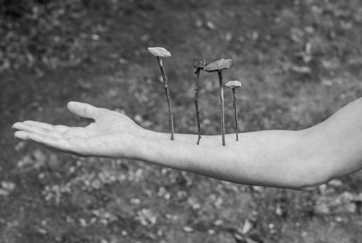 Landskrona Foto Festival 2024 intar stadens gator 6–22 september