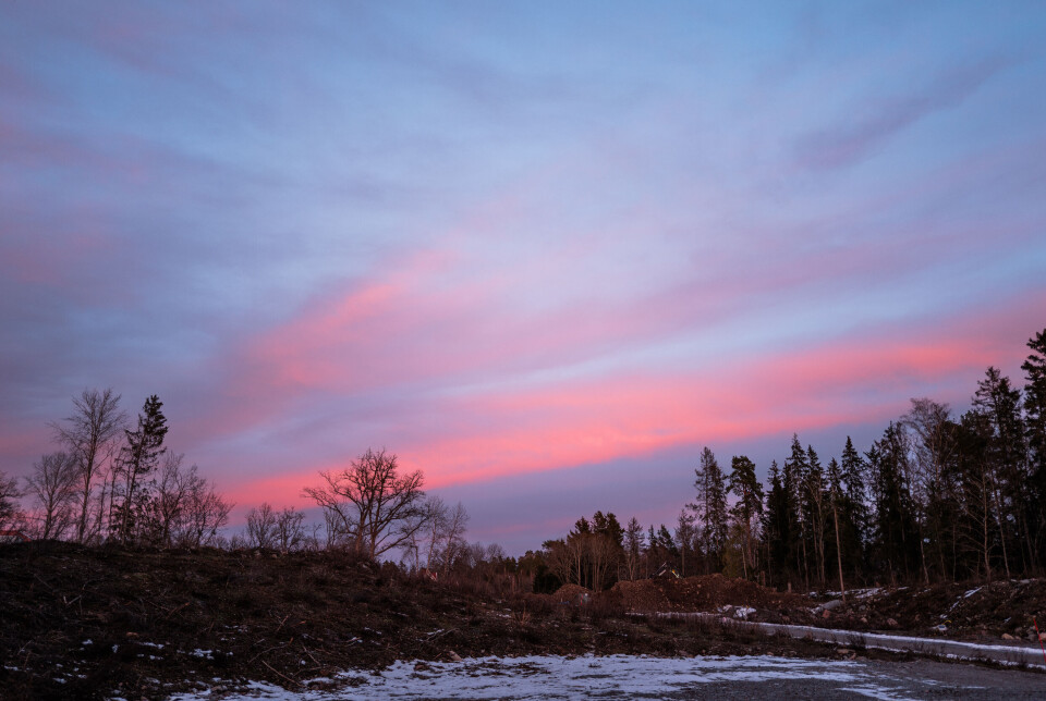 Tonaliteten och hanteringen av färger är fantastisk hos Leica Q3.
(1/125s, f/1,7, ISO 125)