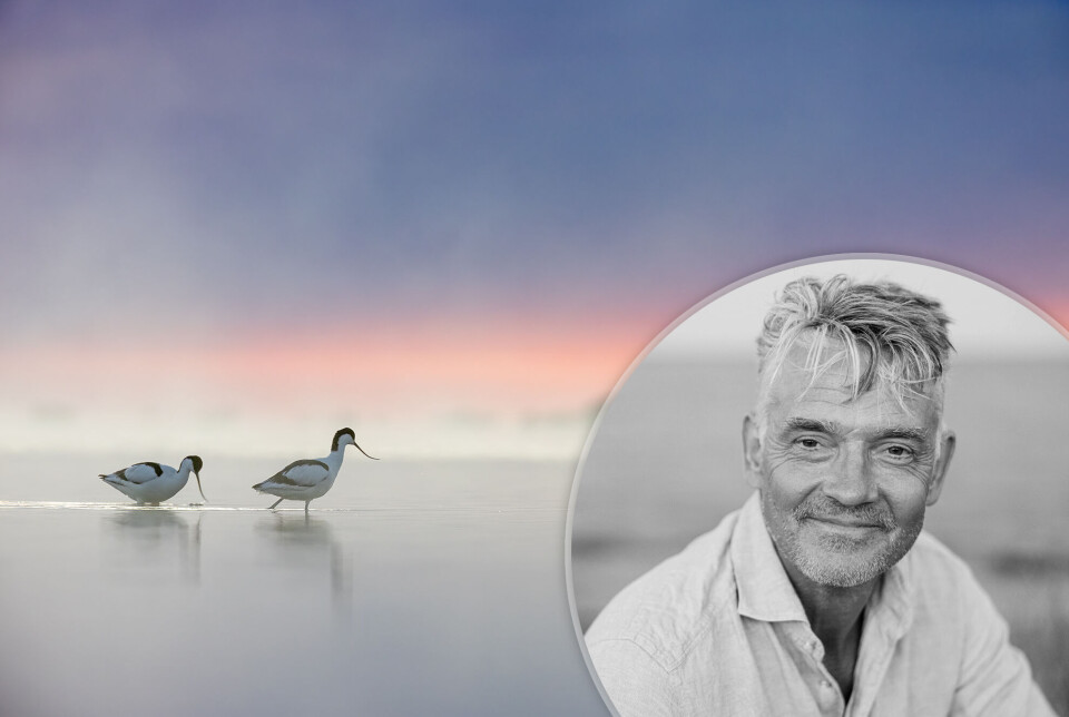 Niclas Ahlberg: »Undvik FOMO & satsa istället på dina egna bilder«