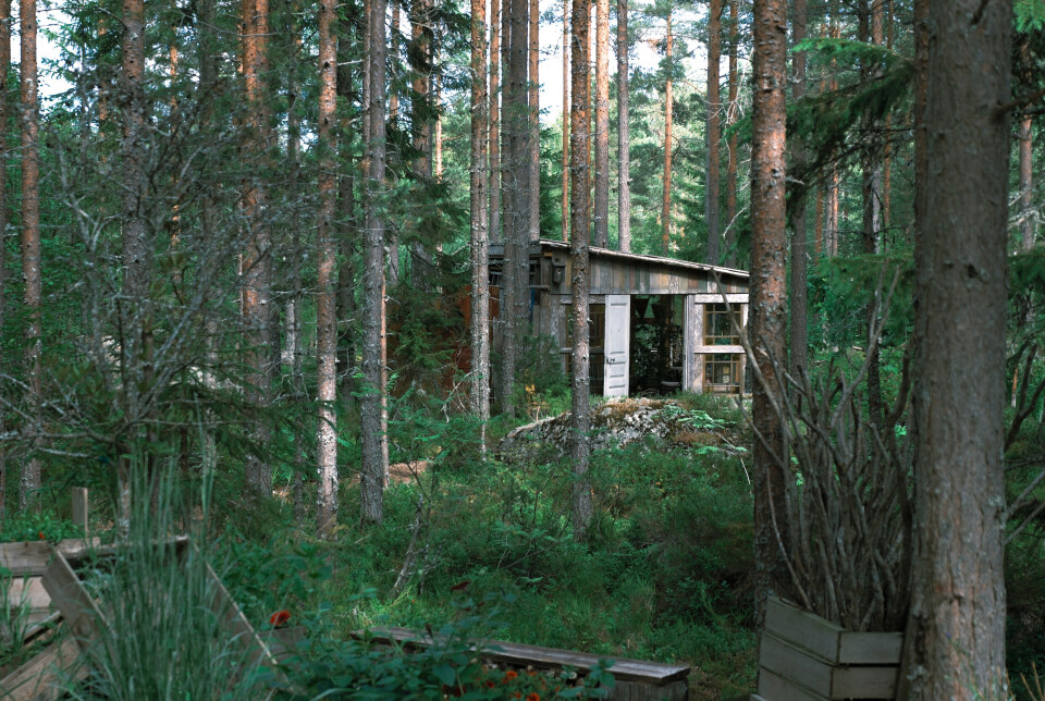 Fujifilm X-T50 är en rolig kamera att fotografera med – man kan släppa tekniken och fokusera på det man fotograferar. 1/125s, f/4,8, ISO 64.