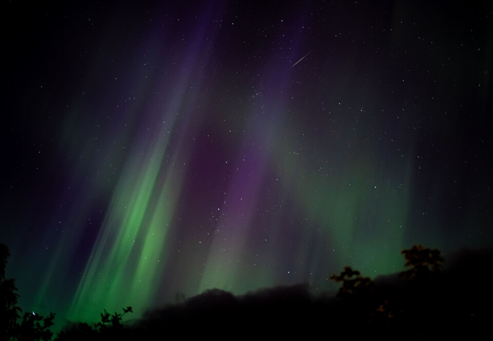 Norrsken med en perseid som brinner i jordens atmosfär.