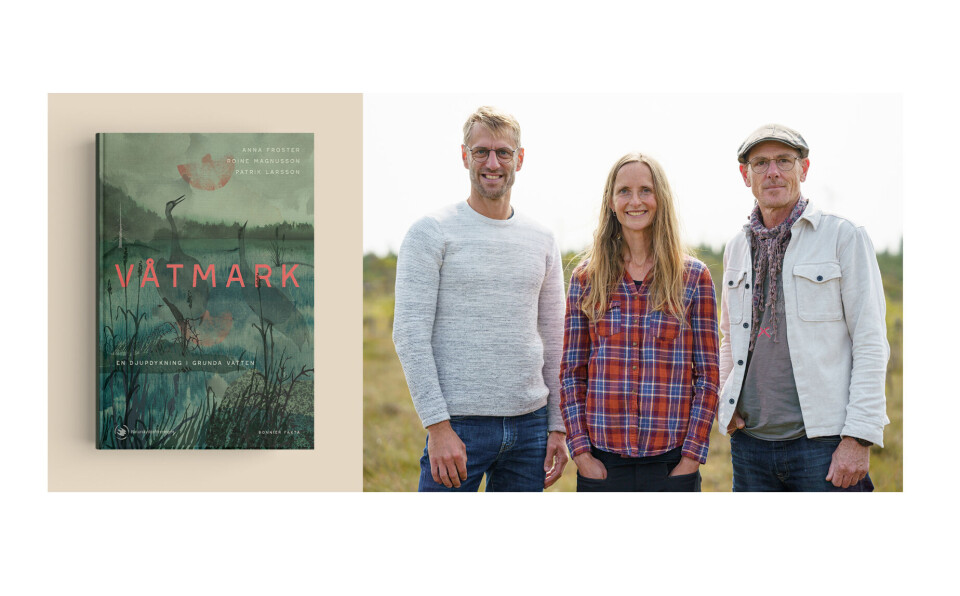 Patrik Larsson, Anna Froster och Roine Magnusson.