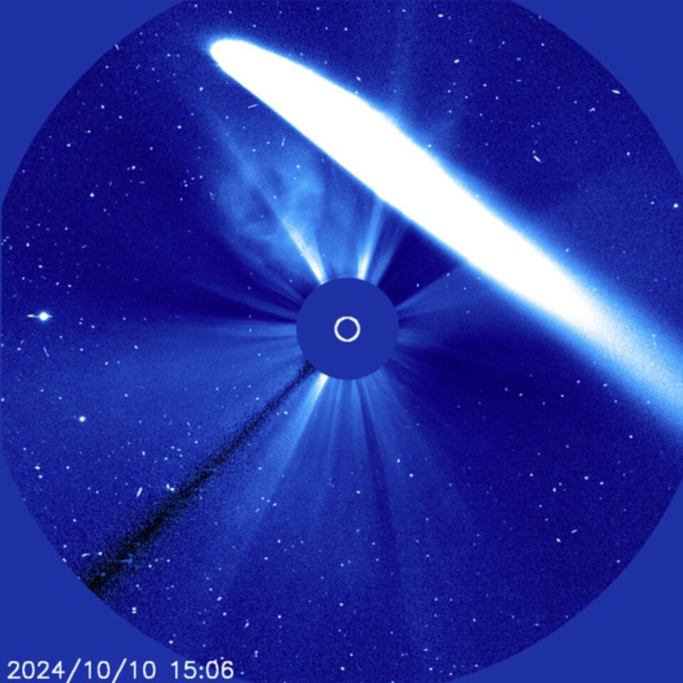Bild på kometen som rör sig genom synfältet för satelliten SOHO (Solar and Heliospheric Observatory), riktad mot solen (mitten).