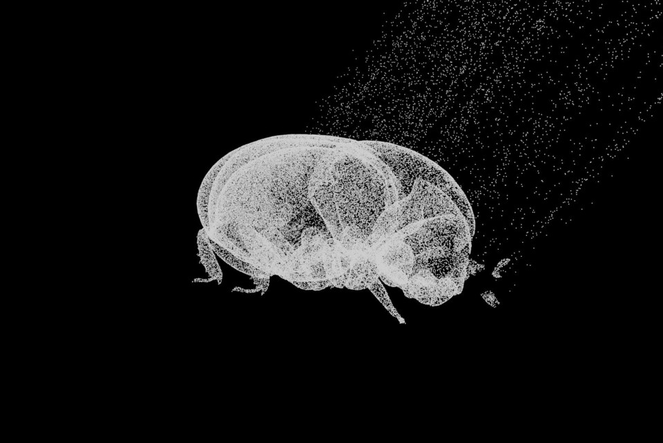 Sveriges Fotodagar 2024 till Stockholm, Göteborg & Lund