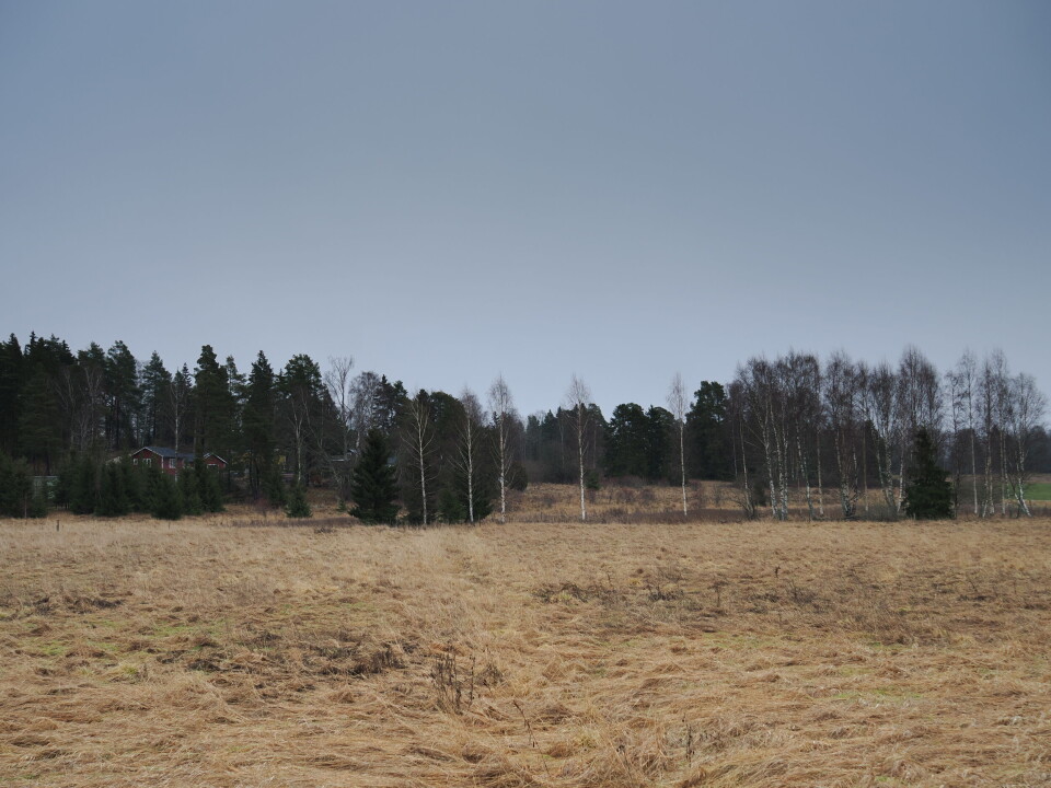 Med Live GND kan man se hur bilden påverkas av ett graduellt ND-filter direkt på skärmen.