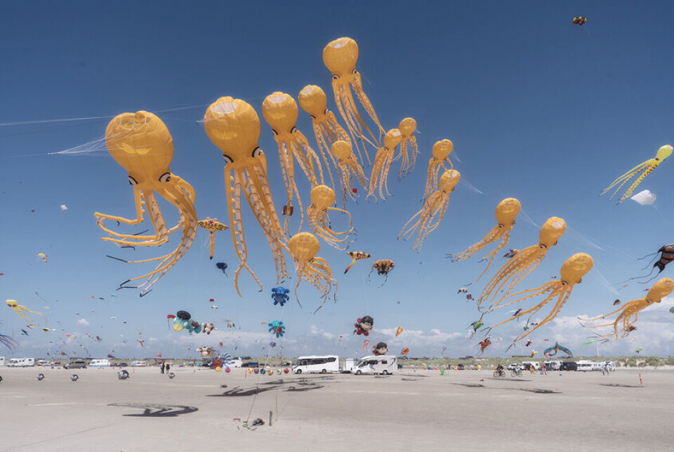 'Octopuses in the Sky', vinnare i den öppna kategorin 'Object'.