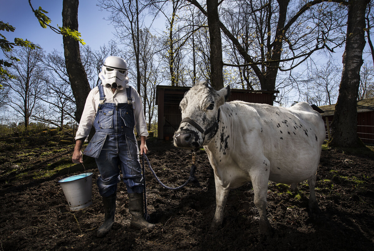 'An Ordinary Life' visar Star Wars-karaktärernas vardagsliv