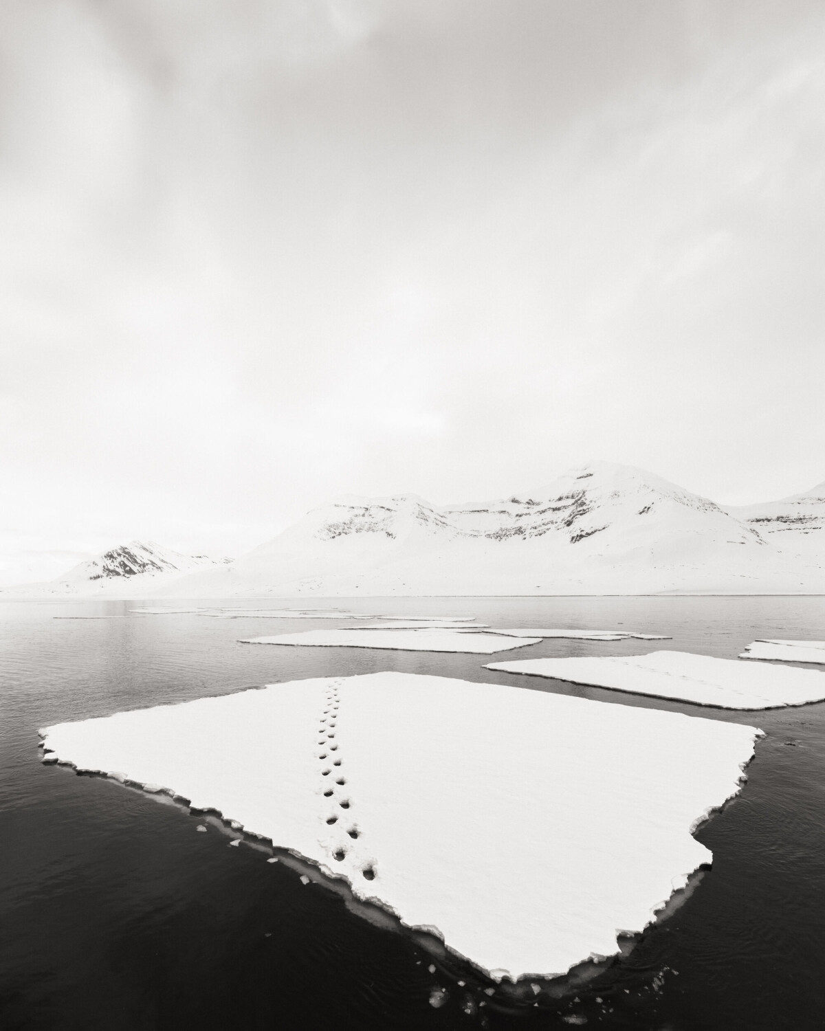 'Fading Path'.