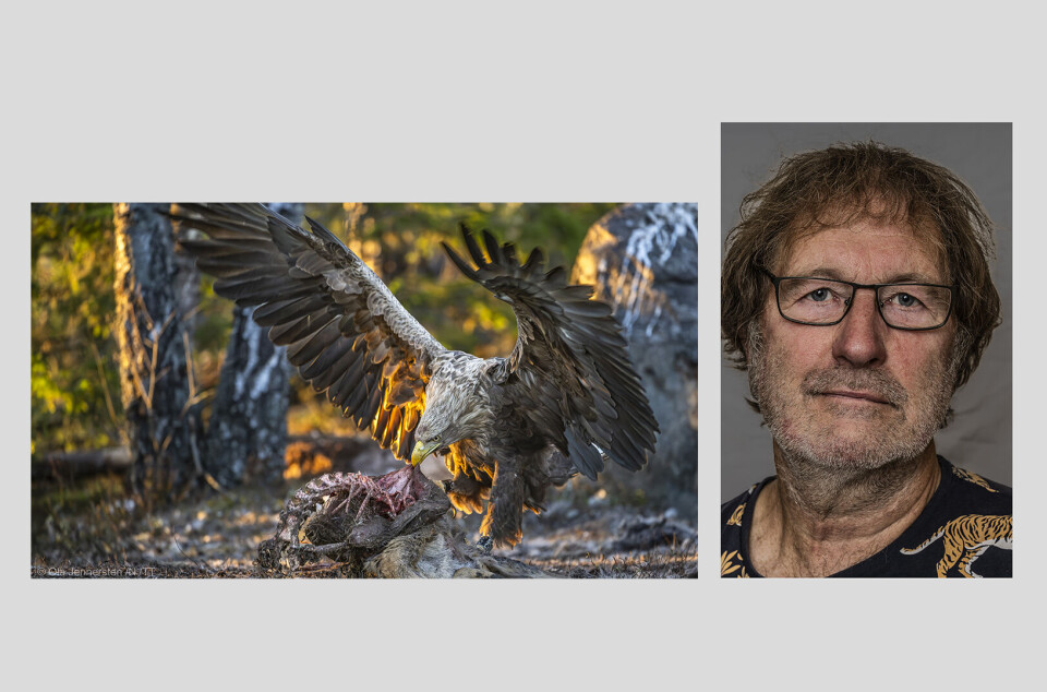 Ola Jennersten är Årets naturfotograf 2024.