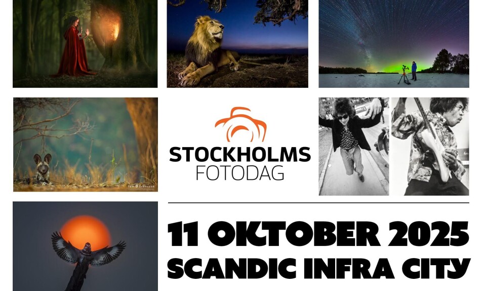 Stockholms Fotodag 2025: Här är alla fotografer