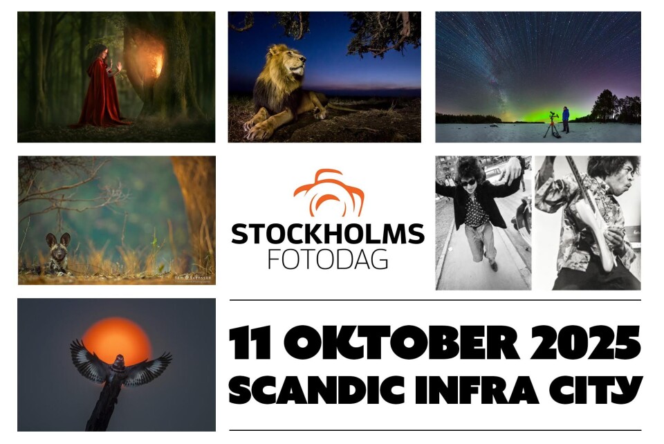 Stockholms Fotodag 2025: Här är alla fotografer