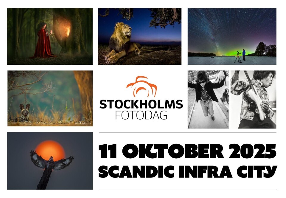 Stockholms Fotodag 2025: Här är alla fotografer