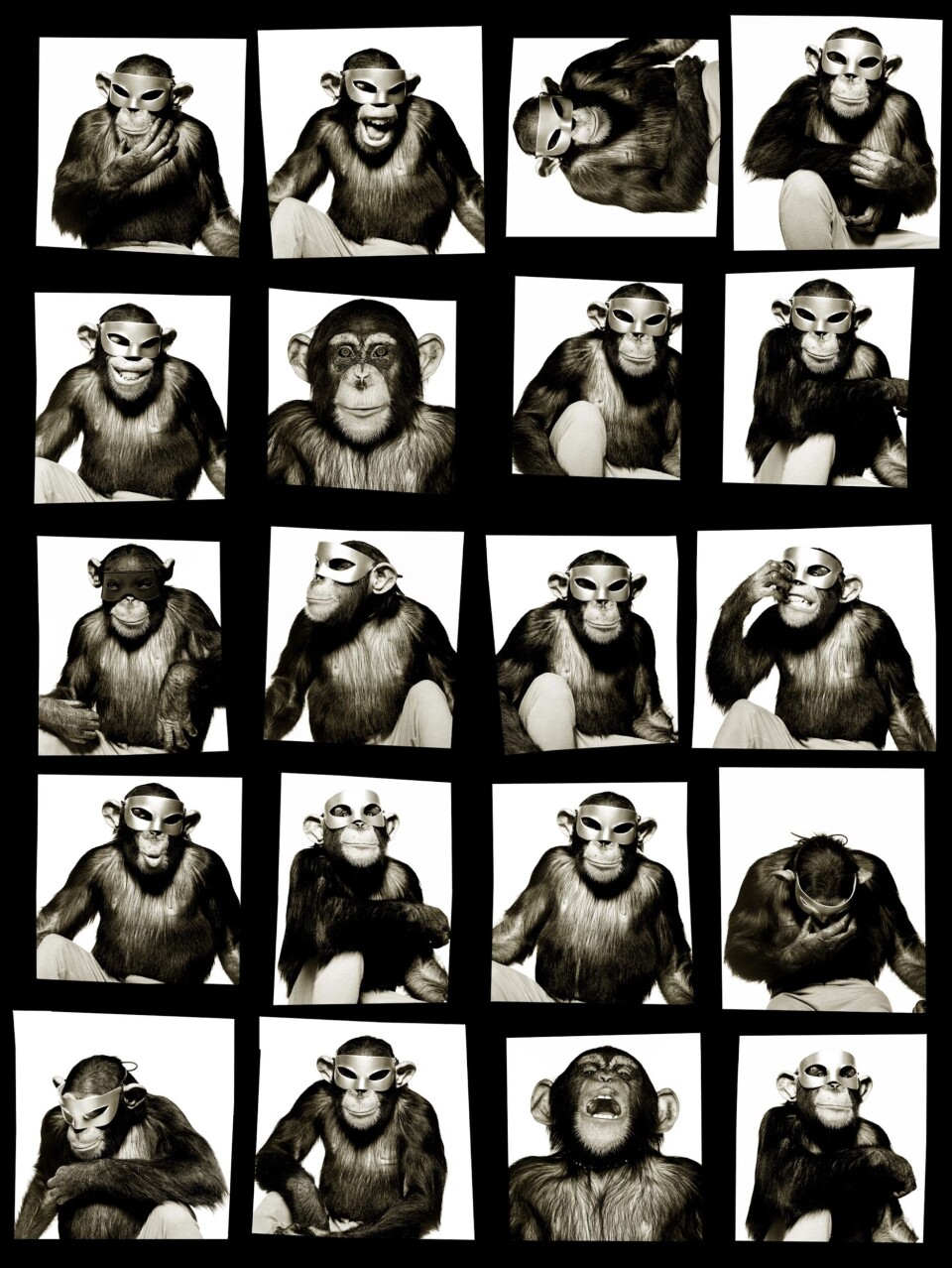 Utställd 2011: Monkey with Masks, New York City, 1994.
